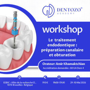 Le traitement endodontique : préparation canalaire et obturation