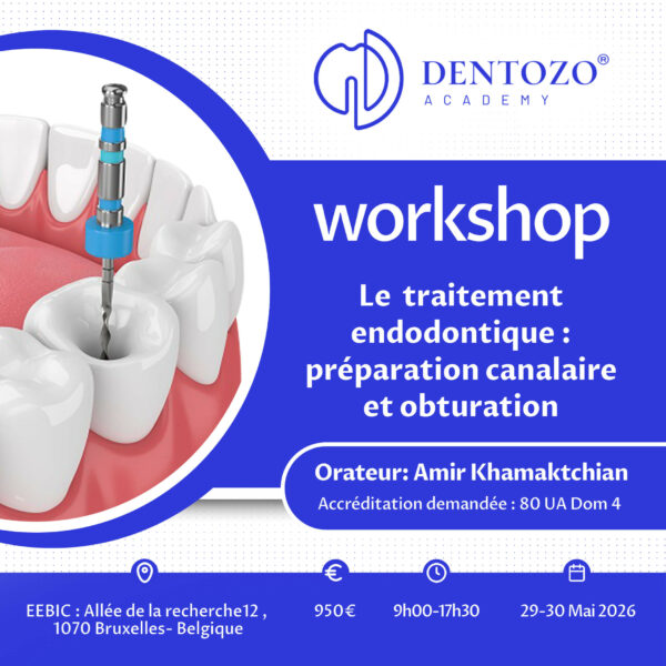 Le traitement endodontique : préparation canalaire et obturation