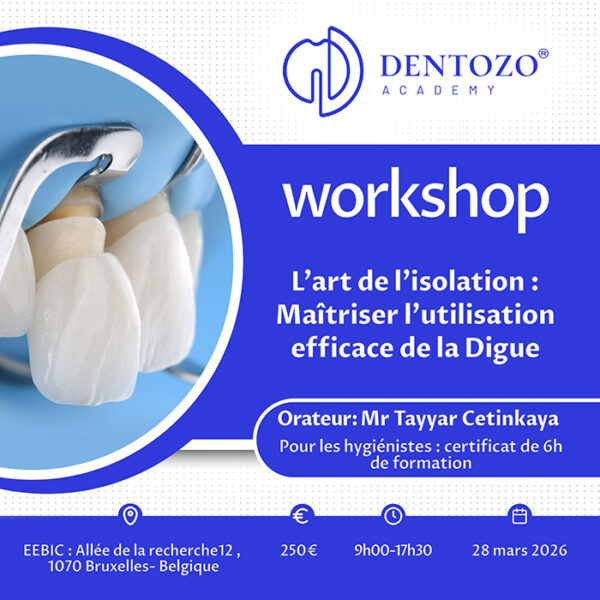 L’art de l’isolation : Maîtriser l’utilisation efficace de la Digue