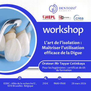 L’art de l’isolation : Maîtriser l’utilisation efficace de la Digue