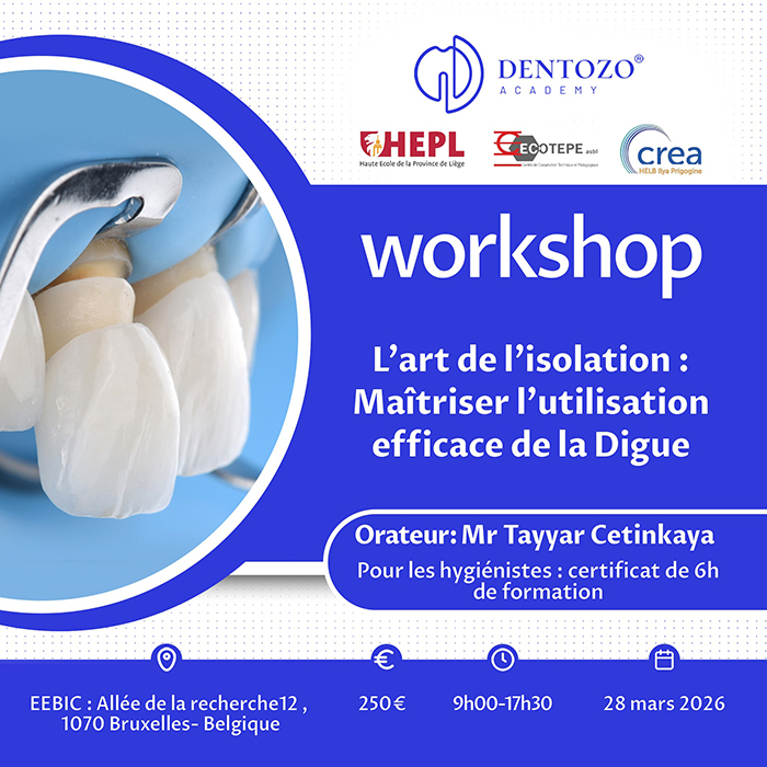 L’art de l’isolation : Maîtriser l’utilisation efficace de la Digue